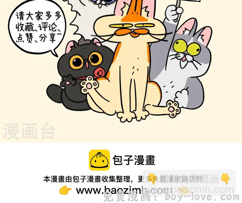 阿满和麦茶 第139话2 第一只猫咪 预览图