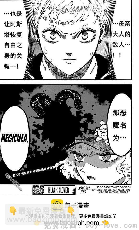 黑色五叶草 第222话 预览图